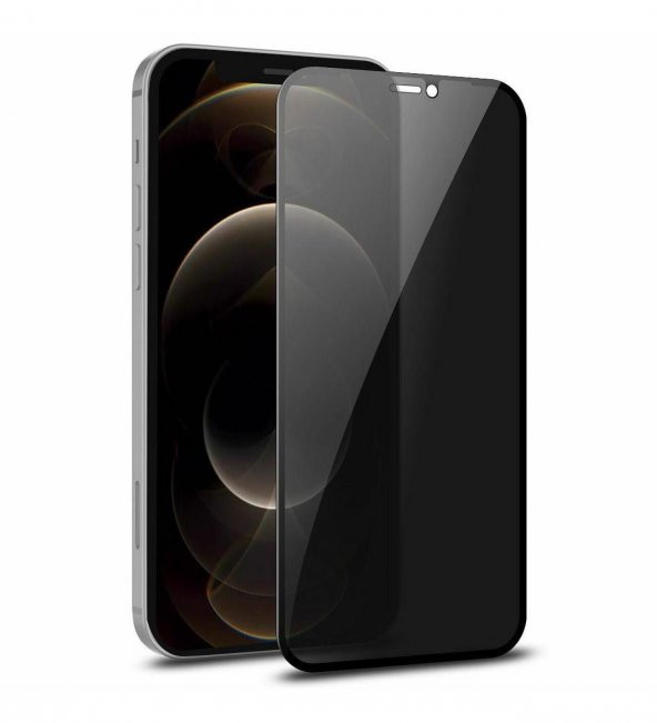 Vendas iPhone 12 Pro Max Uyumlu (12 Pro Max) Privacy Hayalet Temperli Cam Ekran Koruyucu