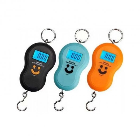 Aletçantam Dijital Terazi Hassas El Tartı Kantarı - 50kg - 2