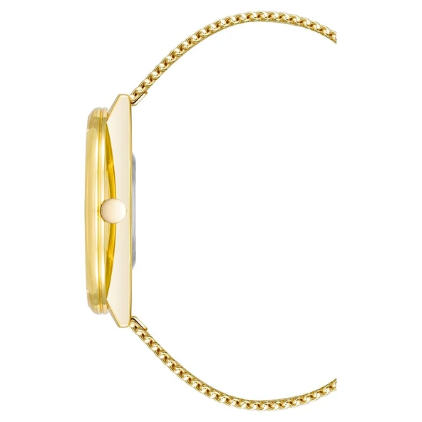 NINE WEST NW-1980GNGB Kadın Kol Saati - Resim 3