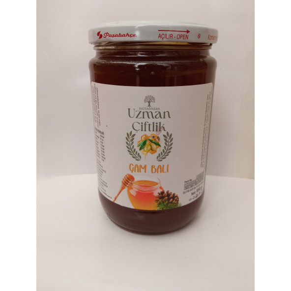 Kazdağı Çam Balı 850 gr.