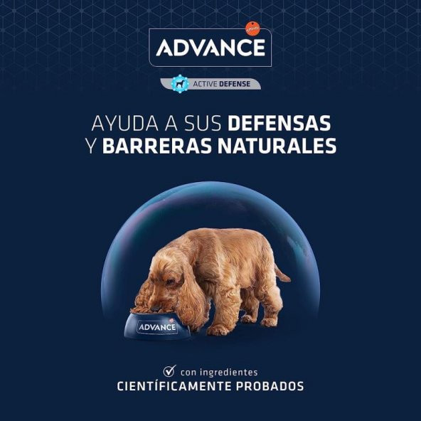 Advance Sensitive Somonlu ve Pirinçli Hassas Yetişkin Köpek Maması 12 KG - Resim 3