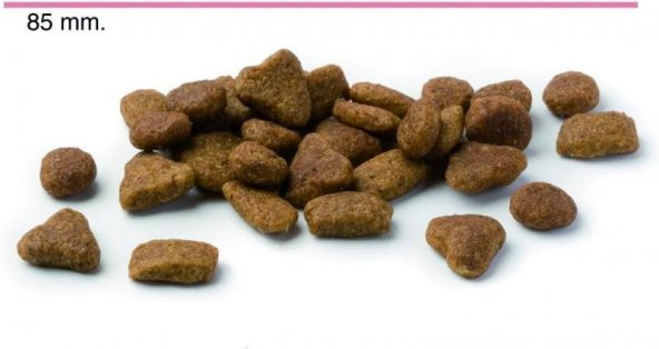 Advance Yorkshire Terrier Tavuklu Yetişkin Köpek Maması 1,5 KG - Resim 4