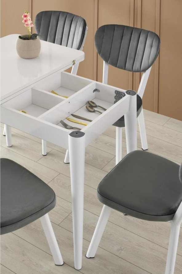 Erezoğulları Mobilya Rüya Elma MDF Mutfak Masası Sandalye Takımı 60x100 - Resim 3