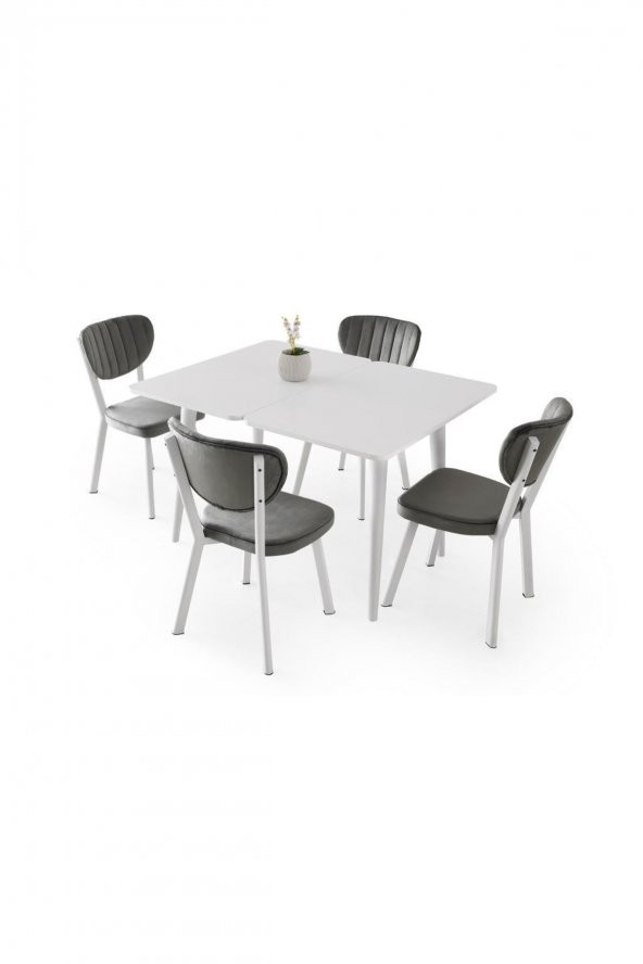 Erezoğulları Mobilya Rüya Elma MDF Mutfak Masası Sandalye Takımı 60x100 - Resim 5