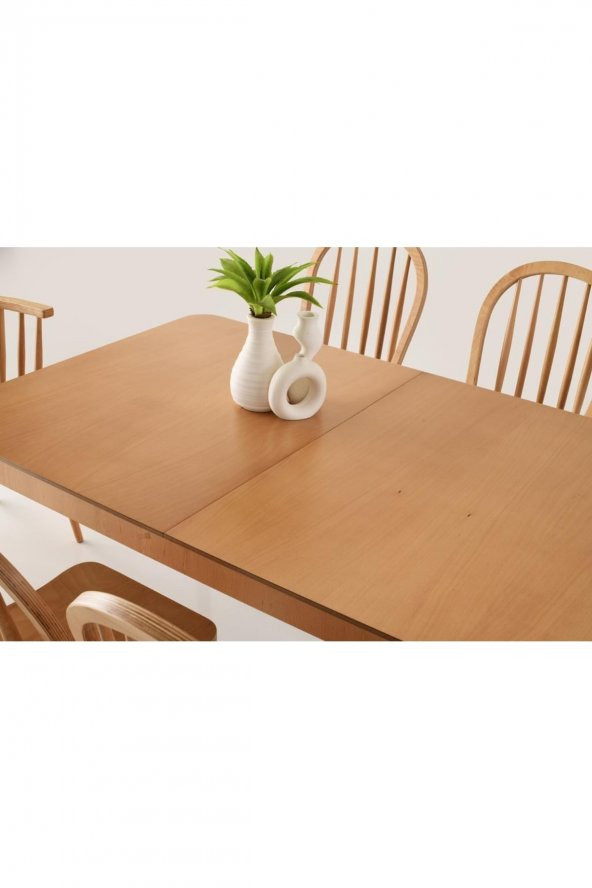 Erezoğulları Mobilya Zeta Amerikan Ağaç Açılır Yemek Masa Sandalye Takımı 90x140 - 5