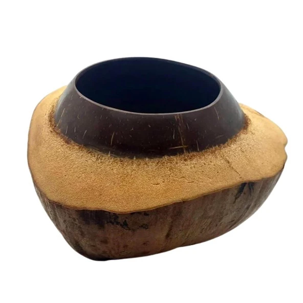 Coconut Hindistan Cevizi Kase Kabuklu Coconat Kase - 2