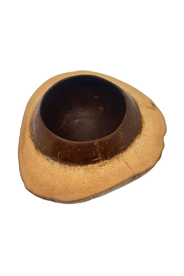 Coconut Hindistan Cevizi Kase Kabuklu Coconat Kase - 4