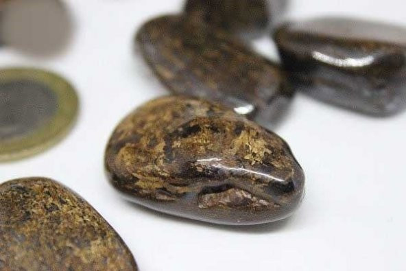 Bronzit Taşı Tamburlanmış Orta Boy 14-20 gram - Resim 6