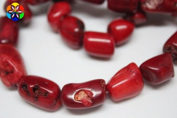 Mercan Çubuk Büyük Boy/adet (Boyalıdır) ürün görseli