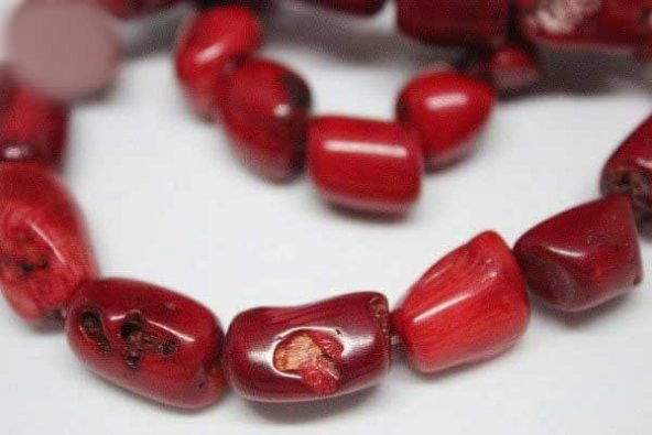 Mercan Çubuk Büyük Boy/adet (Boyalıdır) - Resim 6