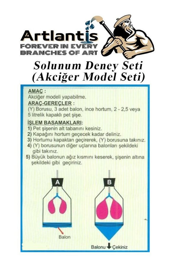 Solunum Deney Seti 7 Parça 1 Paket Akciğer Model Seti Y Boru Tıpa Balon Okul Sınıf Deney Seti - 3