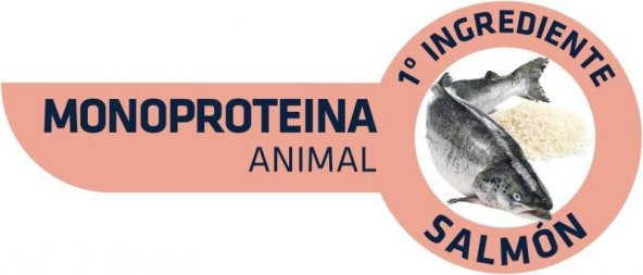 Advance Mini Sensitive Somonlu Küçük Irk Yetişkin Köpek Maması 3 KG - Resim 3