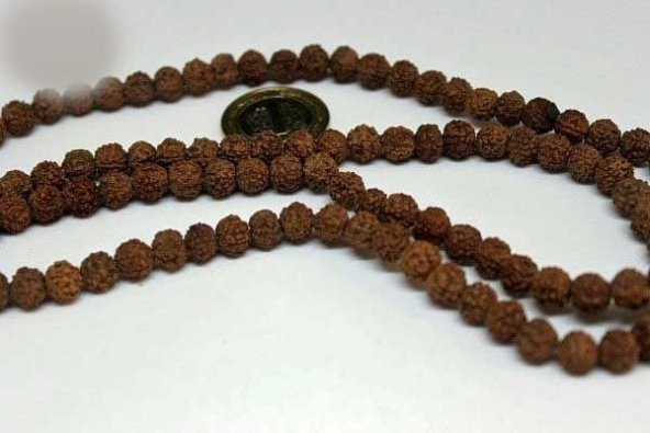 Rudrashka Tohum (Mala yapımı için) 8mmadet