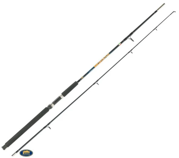 Lineaeffe Mustang 100-250g Tekne Kamışı 2P - 2