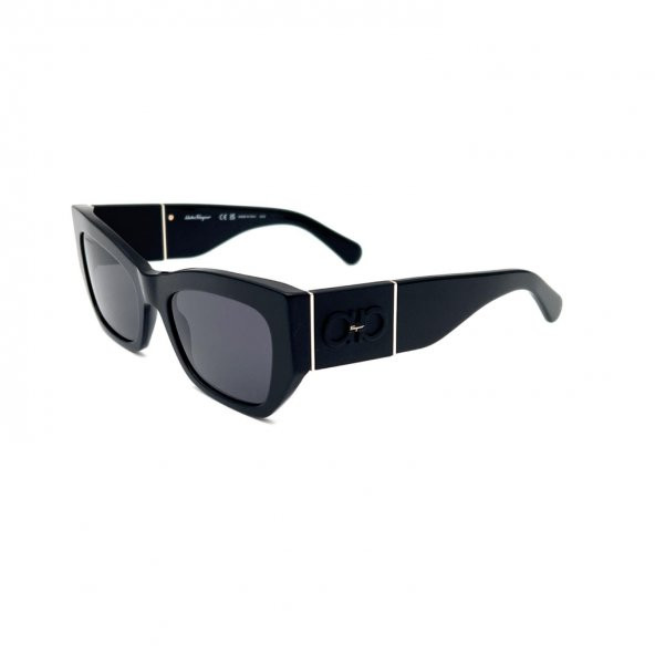 Salvatore Ferragamo SF1059S 001 Kadın Güneş Gözlüğü - 4