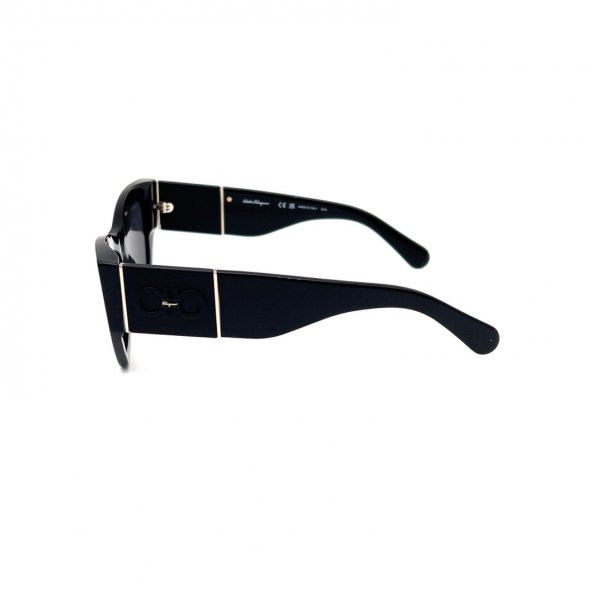 Salvatore Ferragamo SF1059S 001 Kadın Güneş Gözlüğü - 5