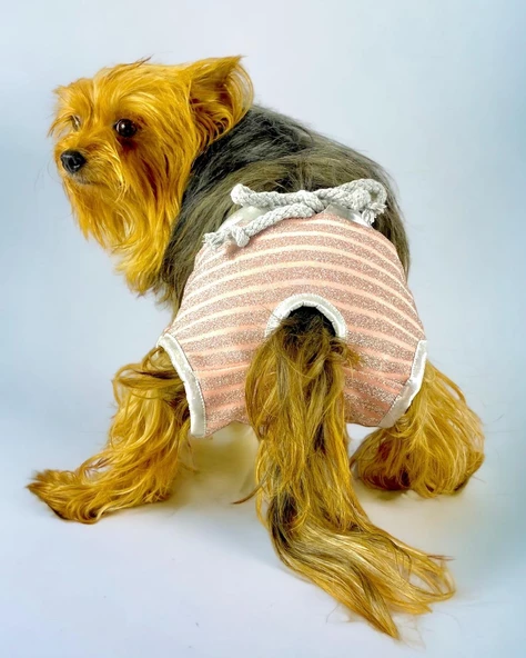 Pink Shine Kemique's Secret Köpek İç Çamaşırı Regl Külot Don - 2