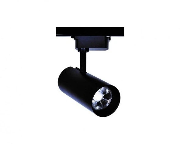 Maxled 30w Ledli Ray Spot Armatür Siyah Kasa 6500K Beyaz Işık MX-3086