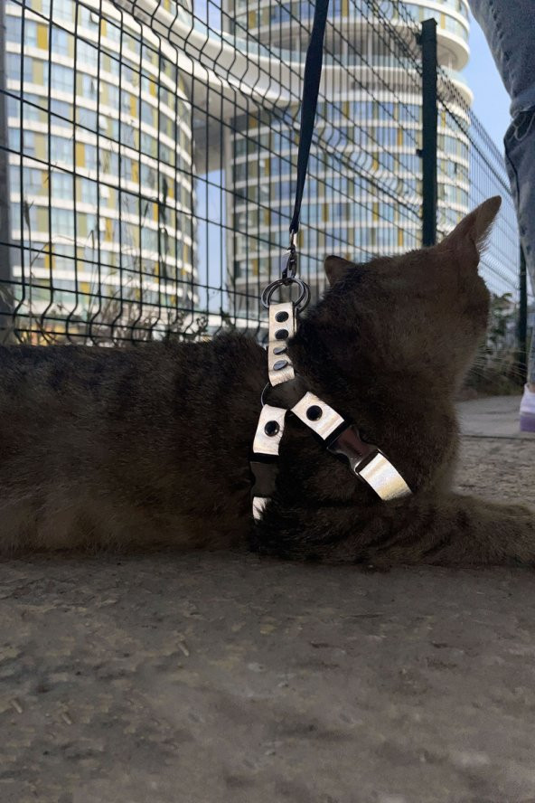 Lisinya41 Karanlıkta Yansıyan Reflektörlü Kedi Harness , Özel Tasmalı Kedi Harness