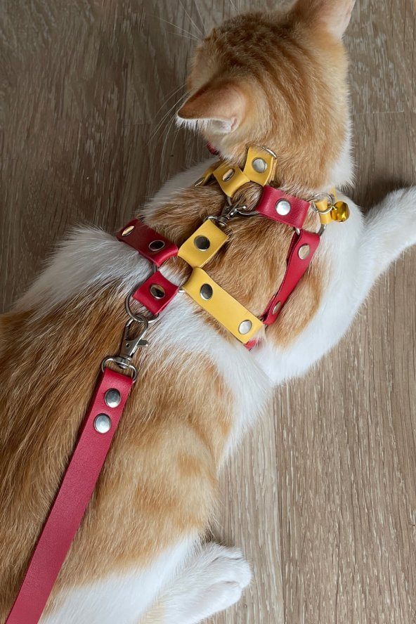 Lisinya41 Sarı Kırmızı Fanatik Kedi Göğüs Tasması, Fanatik Kedi Gezdirme Tasması - NPC014