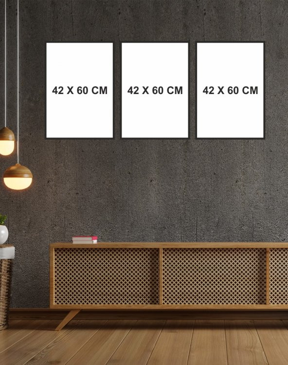 karbonsoft Dekoratif 3 parçalı MDf ahşap tablo - 5