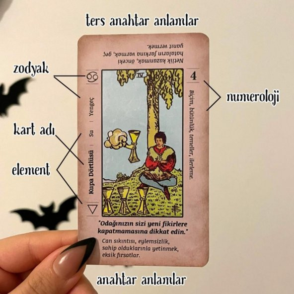 REGİN BAŞLANGIÇ TAROT DESTESİ - 2