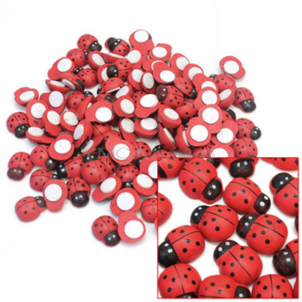 Mini Boy Yapışkanlı Uğur Böceği Kırmızı 100'lü Paket  