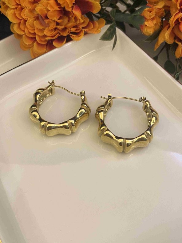 Aksesuar Çarşısı Kemik Model Halka Çelik Küpe ürün görseli