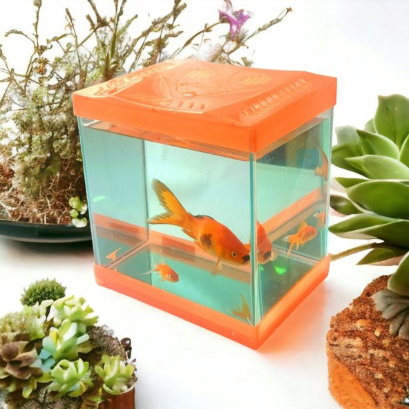 Girist Pet Turuncu Renkli Mini Kare Akvaryum 20x20 cm