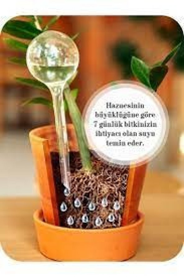 2 Adet Saksı Suluğu, Otomatik Çiçek Sulama Aparatı Tatilde Bitki Sulama Damla - 5