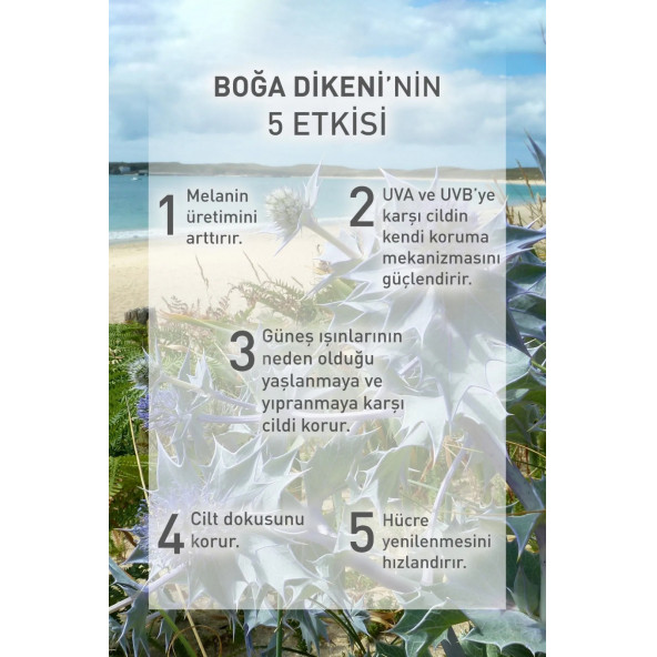 YVES ROCHER 3ü 1 arada Güneş Sonrası Losyon - 3