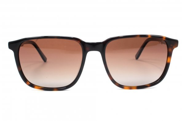 8341 C3 55 Black Polarize Güneş Gözlüğü
