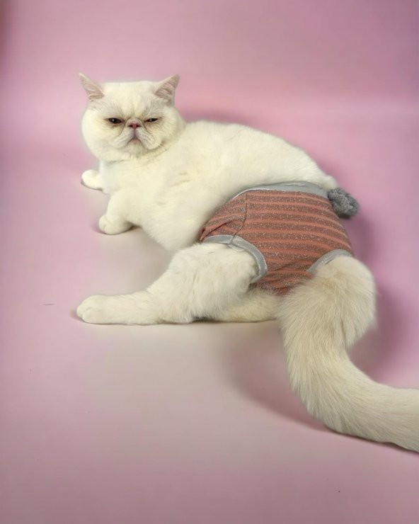 Pink Shine Kemique's Secret Kedi İç Çamaşırı  Regl Külot  Don