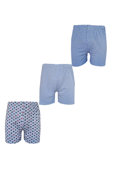 3lü Erkek Desenli Boxer Ekonomik İnce Pamuklu Paçalı Don - 2