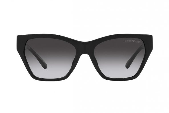 Emporio Armani EA4203U 50178G 55 Kadın Güneş Gözlüğü - 2