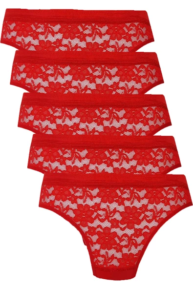 5li Kadın Dantelli Bikini Külot Pamuklu Arkası Düz - 4