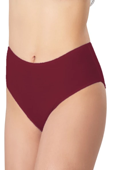 Kadın Büyük Beden Bikini Yüksek Bel Pamuklu Külot Ekonomik - 7