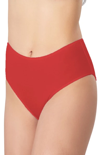 Kadın Büyük Beden Bikini Yüksek Bel Pamuklu Külot Ekonomik - 2