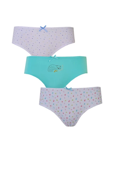 3lü Kız Çocuk Desenli Slip Külot İnce Lastikli Sevimli Rahat - 8