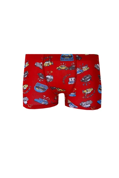 12li Erkek Çocuk Renkli Desenli Baskılı Boxer Külot - 9