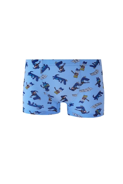 6lı Erkek Çocuk Renkli Desenli Baskılı Boxer Külot - 10