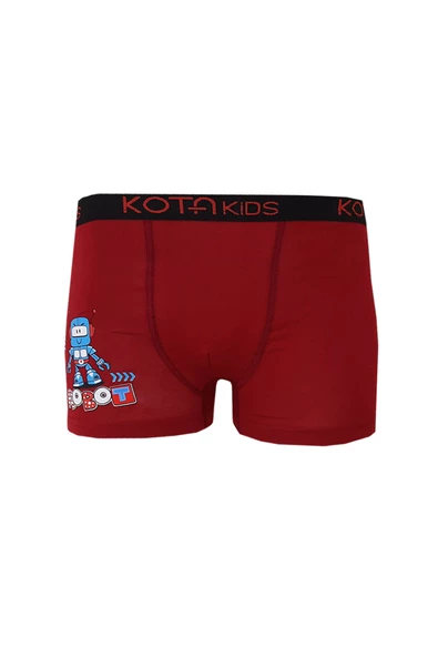 12li Erkek Çocuk Renkli  Baskılı Boxer Külot 1005 - 4
