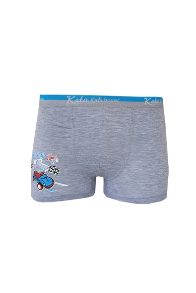 12li Erkek Çocuk Renkli  Baskılı Boxer Külot 1005 - 5