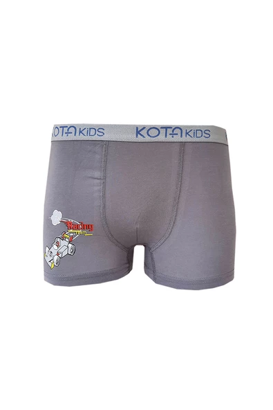 12li Erkek Çocuk Renkli  Baskılı Boxer Külot 1005 - 7