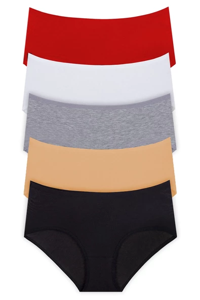 5li Kadın Yüksek Bel Külot Elastan Pamuklu İnce Lastik Kaliteli - 4