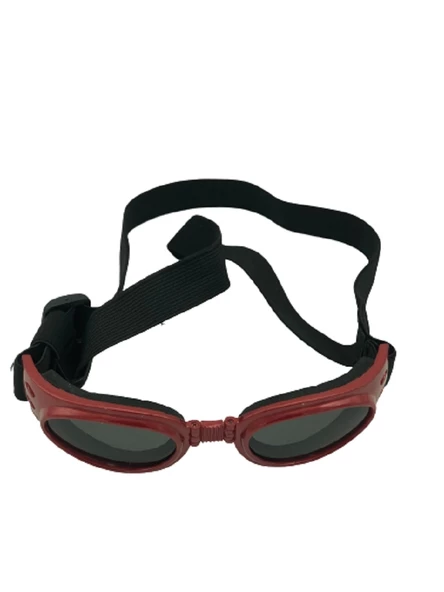 Rüzgar Önleyici Katlanabilir ve Ayarlanabilir Köpek Güneş Gözlük 15 cm - 2