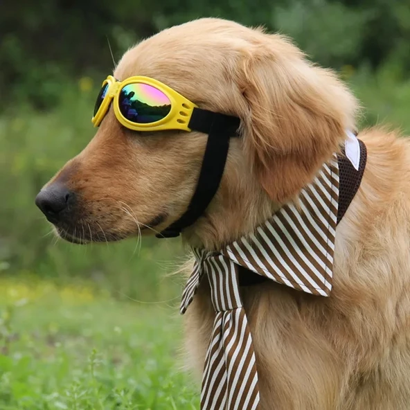 Rüzgar Önleyici Katlanabilir ve Ayarlanabilir Köpek Güneş Gözlük 15 cm - 5