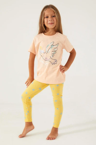 Roly Poly 3075 Bird Smile Kız Çocuk Tayt Takım - 7