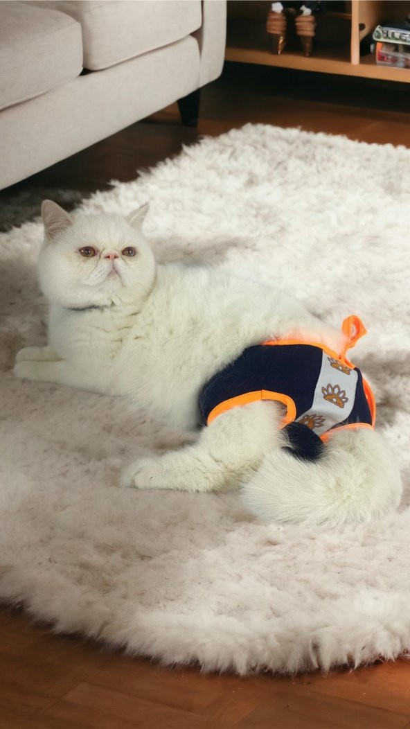 Dolce Navy Kemique's Secret Kedi İç Çamaşırı  Regl Külot  Don