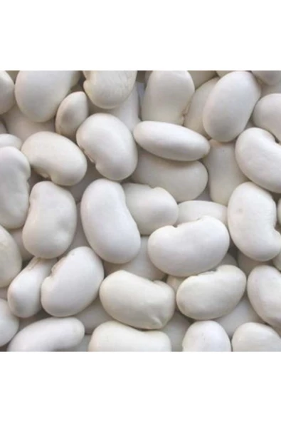 Gaziantep Pazarı Bombay Fasulye 10 KG